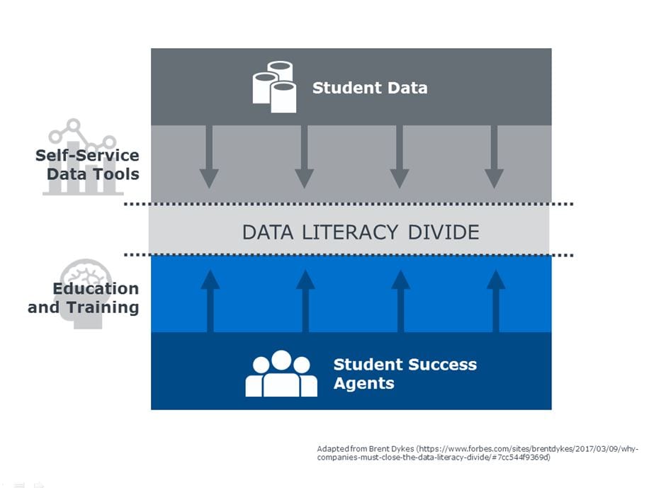 Data Literacy Divide
