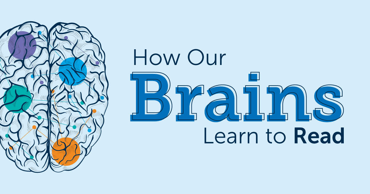 how the brain learns to read presentation