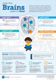 How Our Brains Learn to Read | K-12 Research | EAB