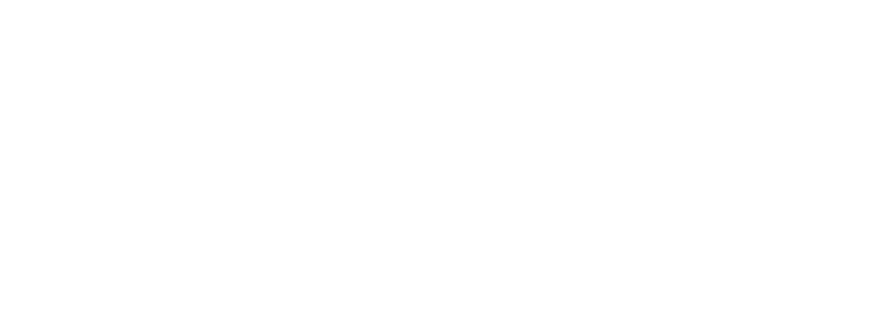 New Executive Intensives logo