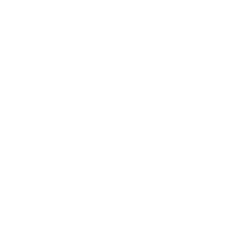 South Texas ISD logo in all white coloring