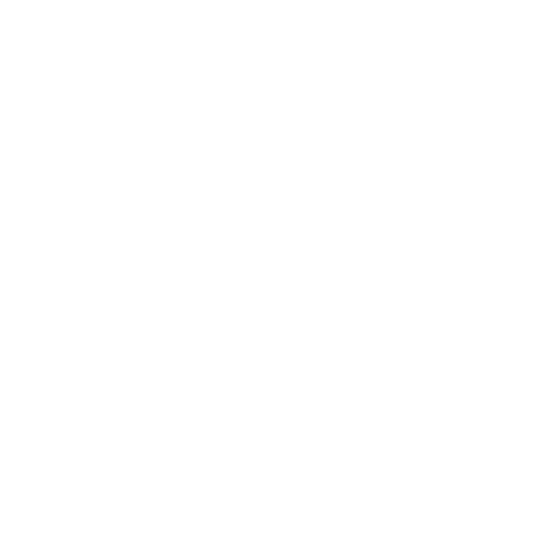 South Texas ISD logo in all white coloring